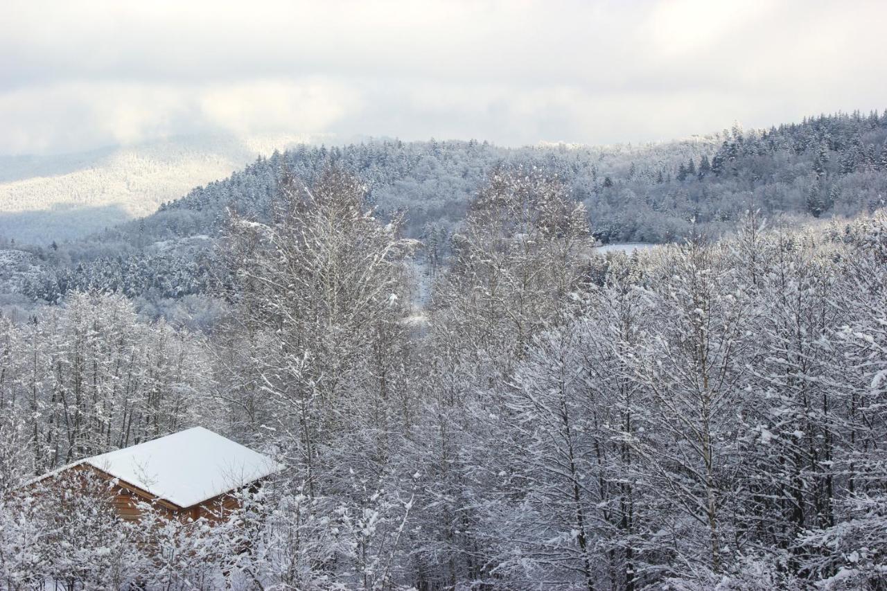 Domaine De Ribeaugoutte Villa Saint-Nabord Kültér fotó